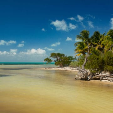 Punta Allen Fishing Club, Ascension Bay, Yucatan Peninsula, Fishing Mexico, Alex Jardine, Aardvark McLeod