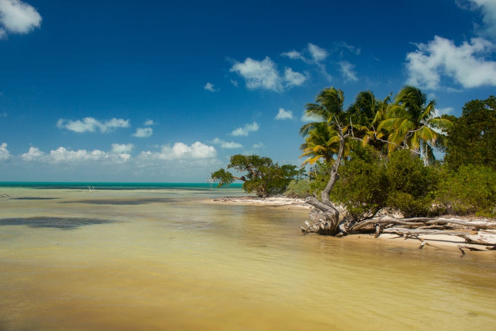 Punta Allen Fishing Club, Ascension Bay, Yucatan Peninsula, Fishing Mexico, Alex Jardine, Aardvark McLeod