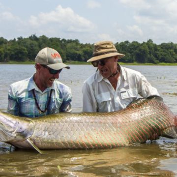Pirarucu Lodge, Arapaima, Amazon, Brazil fishing