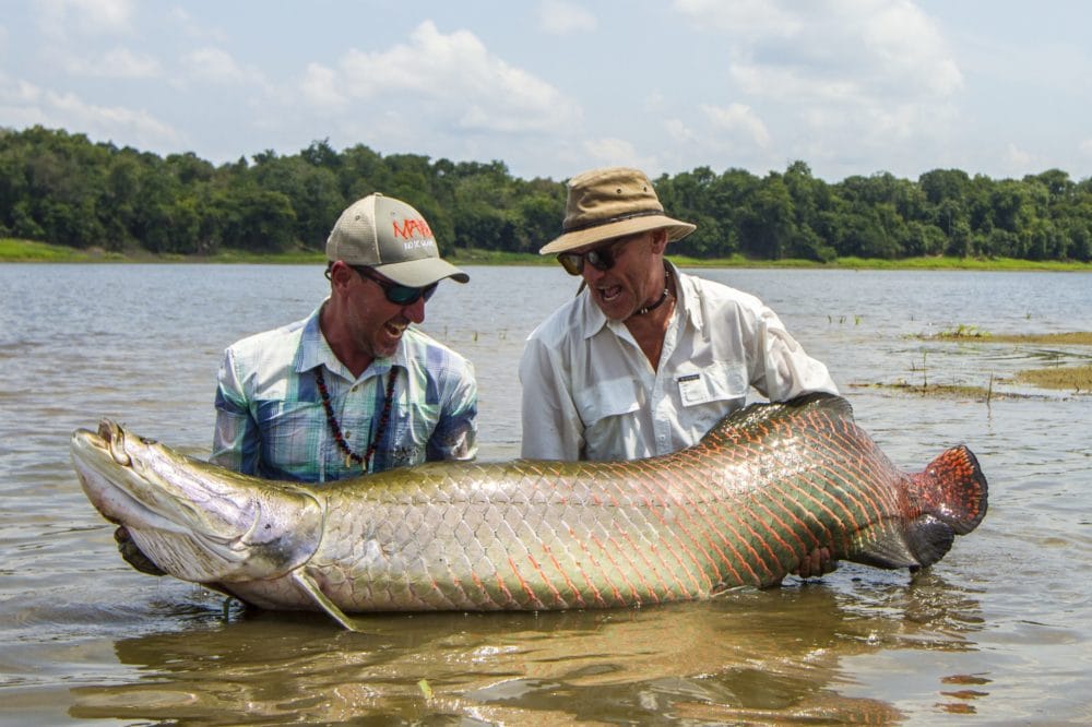 Pirarucu Lodge, Arapaima, Amazon, Brazil fishing