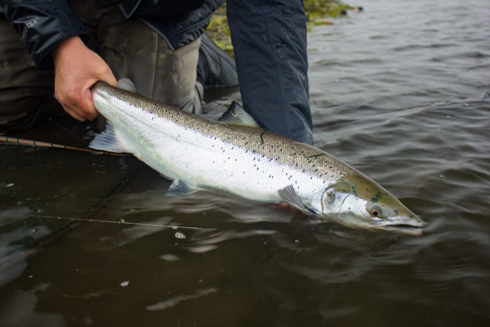 West Rangá, Iceland, Salmon Fishing, Iceland Fishing Guide