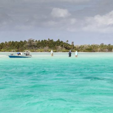 Alphonse Island, fishing Alphonse, fishing in Seychelles, fishing in the Indian Ocean, fly fishing in Seychelles, bonefish, GT, permit, triggerfish