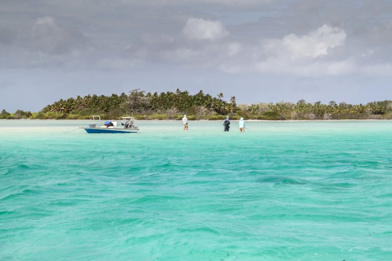Alphonse Island, fishing Alphonse, fishing in Seychelles, fishing in the Indian Ocean, fly fishing in Seychelles, bonefish, GT, permit, triggerfish