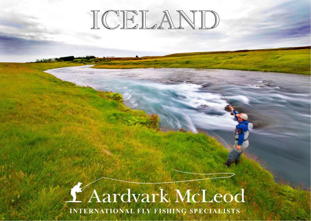 Iceland publication 2020