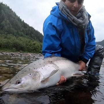 Gaula River Norway, Norwegian Fly Fishers Club Norway, NFC Norway, Atlantic salmon Norway, Salmon Fly Fishing Norway