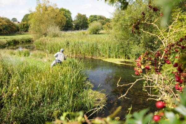 River Anton, Hampshire, Chalkstream, Aardvark McLeod