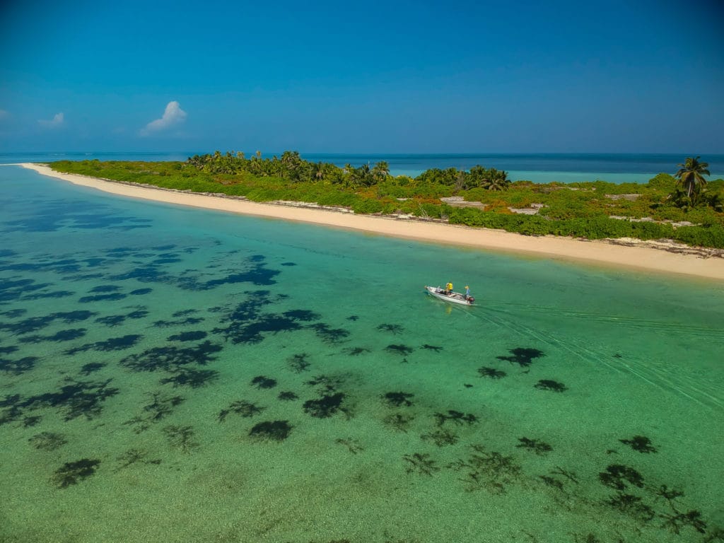 Providence Atoll, Seychelles, Aardvark McLeod