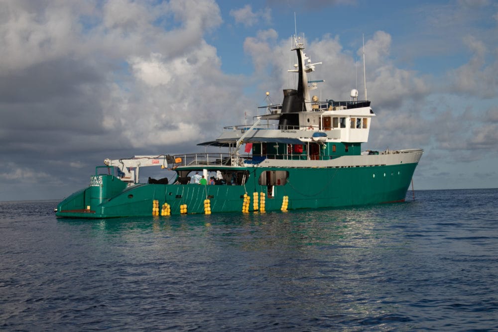 Providence Atoll, Seychelles, Aardvark McLeod