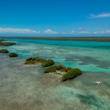 Turneffe Flats Lodge, Belize, Aardvark McLeod