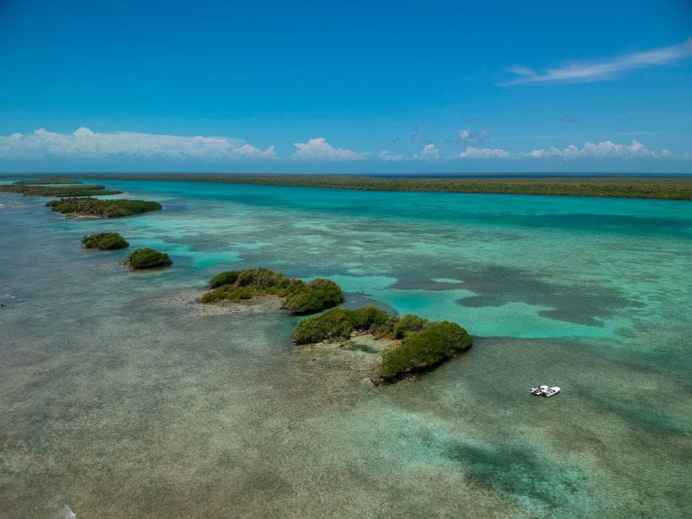 Turneffe Flats Lodge, Belize, Aardvark McLeod