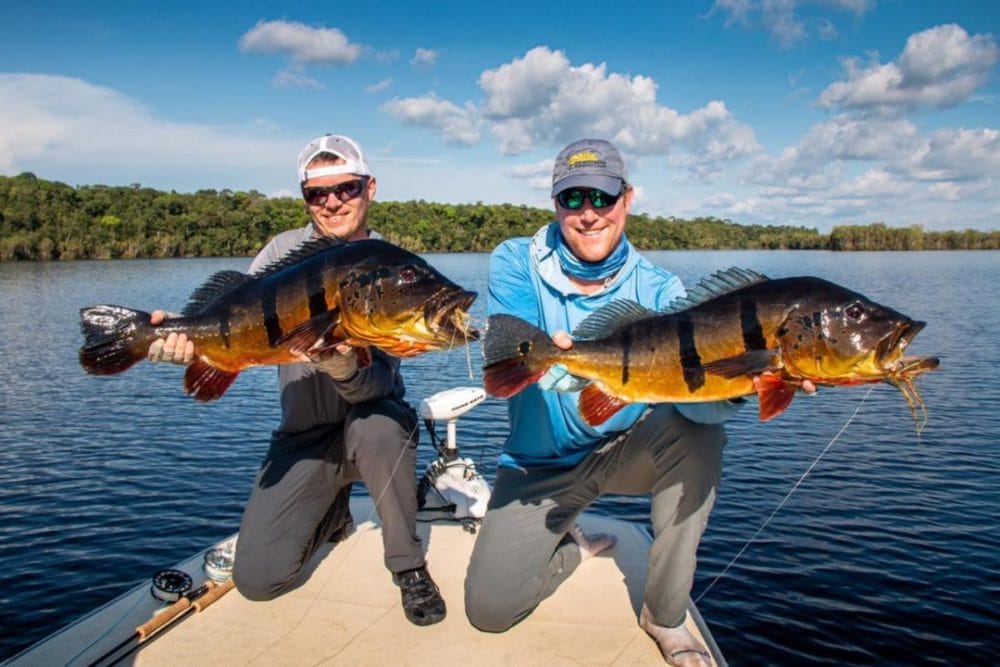 Brazil fly fishing, peacock bass fishing, amazon river, rio marie lodge