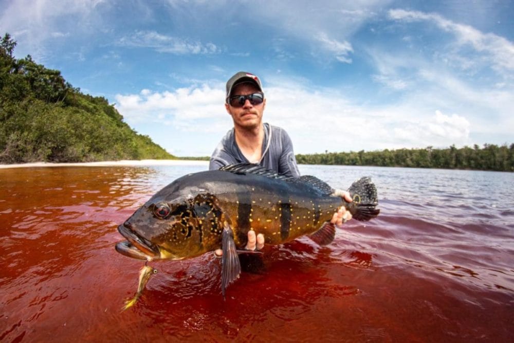 Brazil fly fishing, peacock bass fishing, amazon river, rio marie lodge