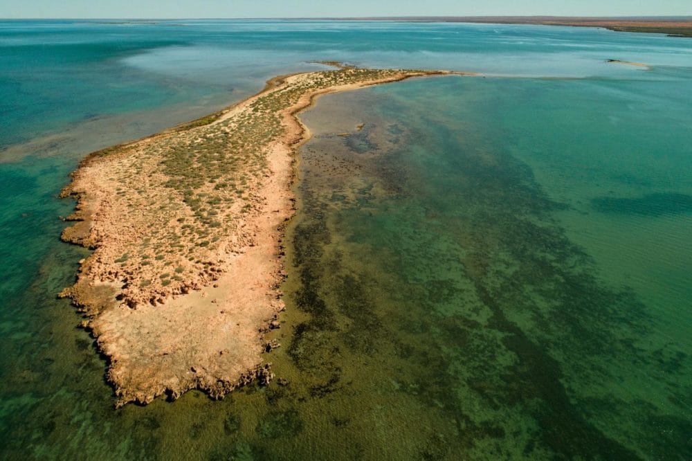 Fly Fishing Australia, Exmouth Australia, Ningaloo Reef Australia, Fishing Guide Australia, Queenfish Australia, Peter Morse Australia, Great Fishing Adventures of Australia