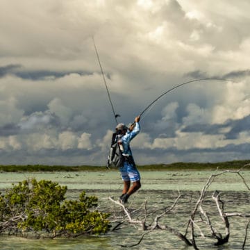 Astove Atoll, Seychelles, Aardvark McLeod