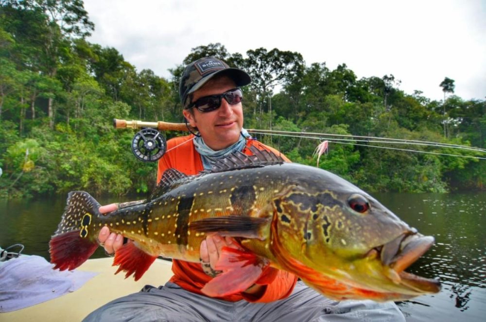 Brazil fly fishing, peacock bass fishing, amazon river, rio marie lodge