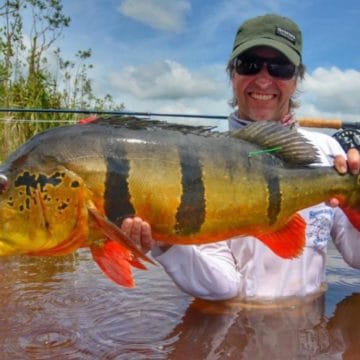 Brazil fly fishing, peacock bass fishing, amazon river, rio marie lodge