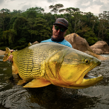 Tsimane Golden Dorado Pacu Jungle