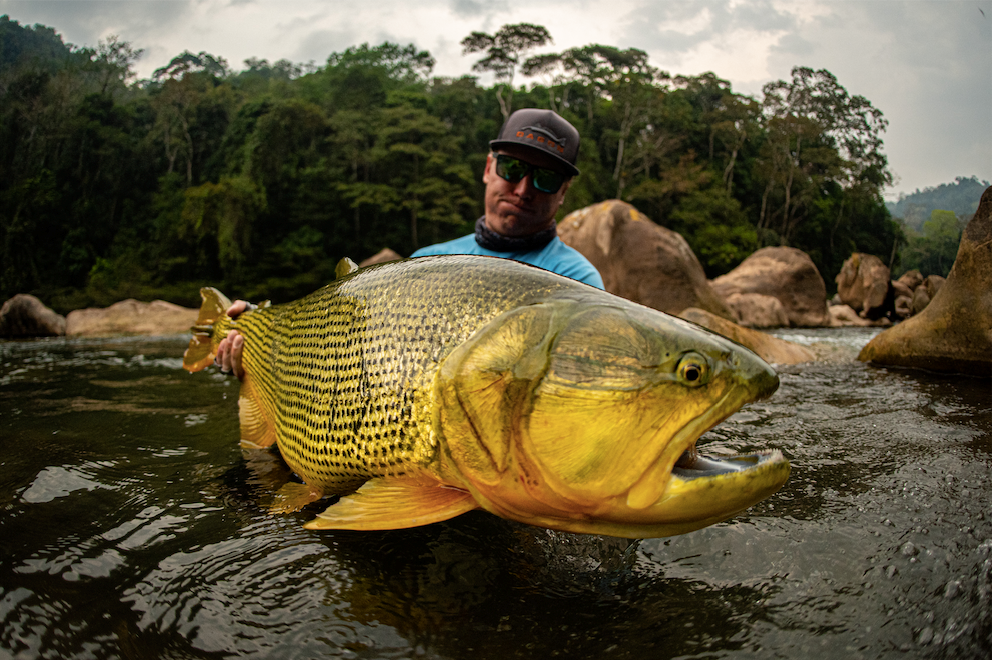 Tsimane Golden Dorado Pacu Jungle
