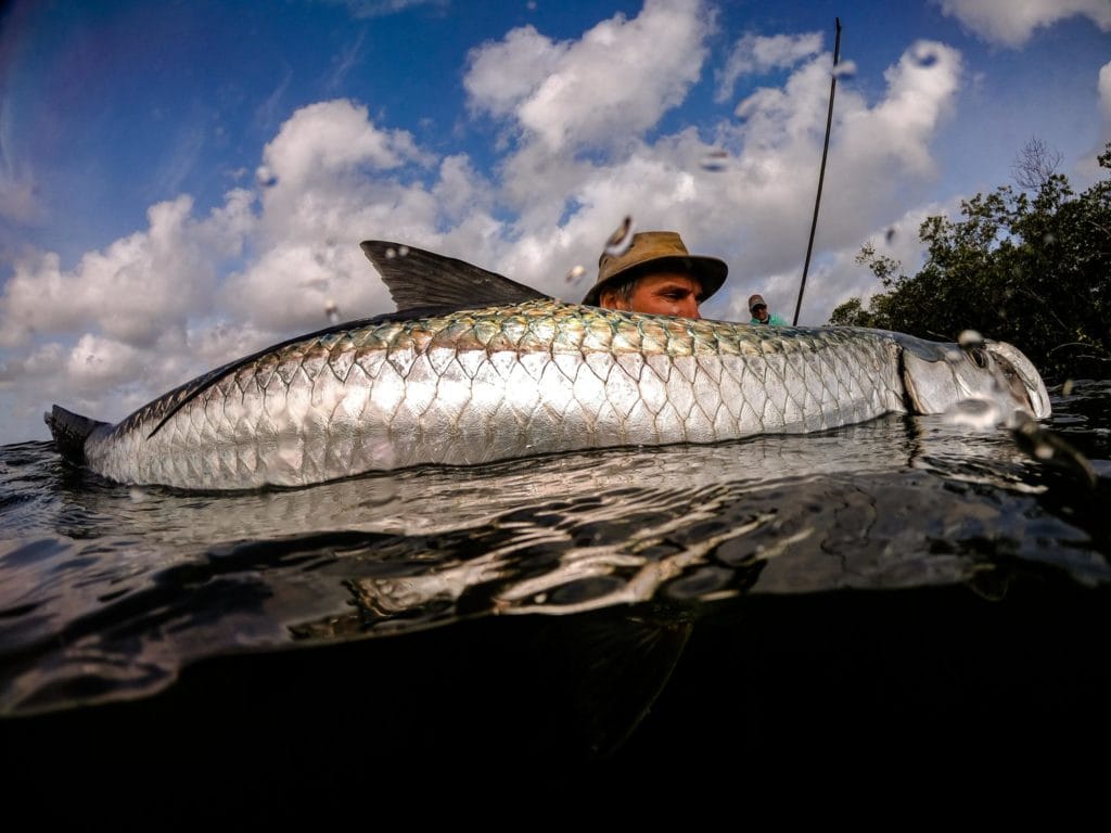 Cuba, Aardvark McLeod, fishing in Cuba, Cuba permit, Cuba Untamed Angling