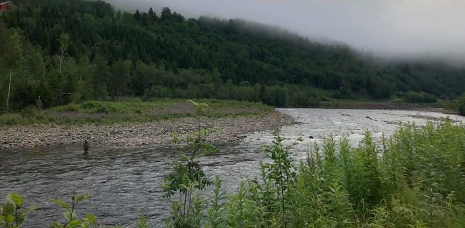 Gaula River Norway, Norwegian Fly Fishers Club Norway, NFC Norway, Atlantic salmon Norway, Salmon Fly Fishing Norway