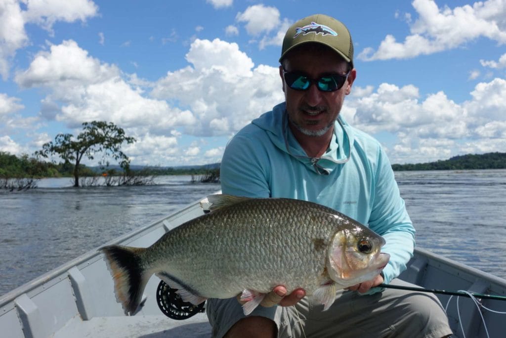 xingu river, payara fishing, fishing brazil, untamed angling, exploratory, aardvark mcleod