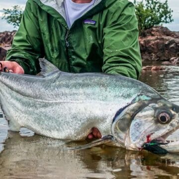 xingu river, payara fishing, fishing brazil, untamed angling, exploratory, aardvark mcleod