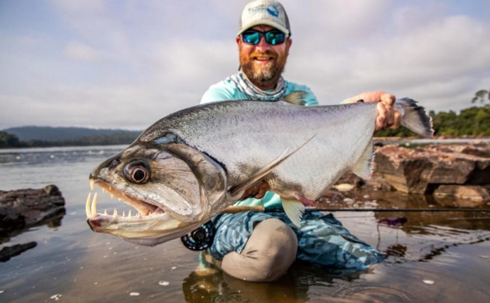 Brazil Fly fishing, fly fishing payara, peacock bass fly fishing, Xingu Lodge, Xingu River