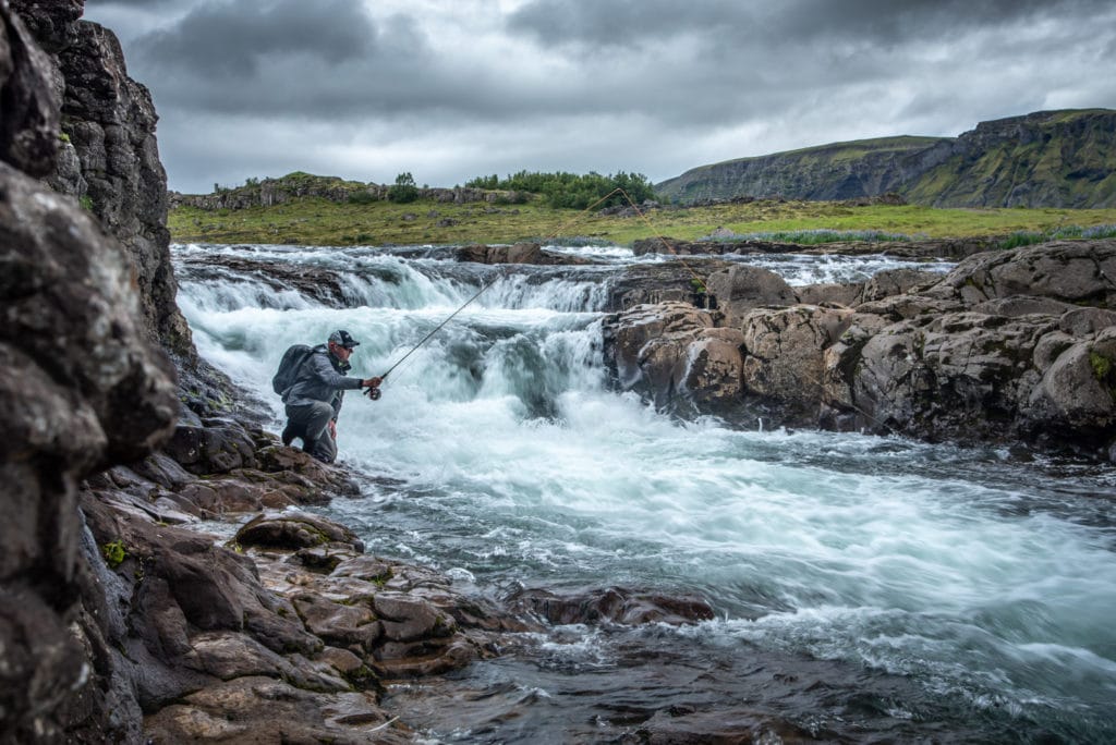 Laxa I Kjos, Iceland, Aardvark McLeod