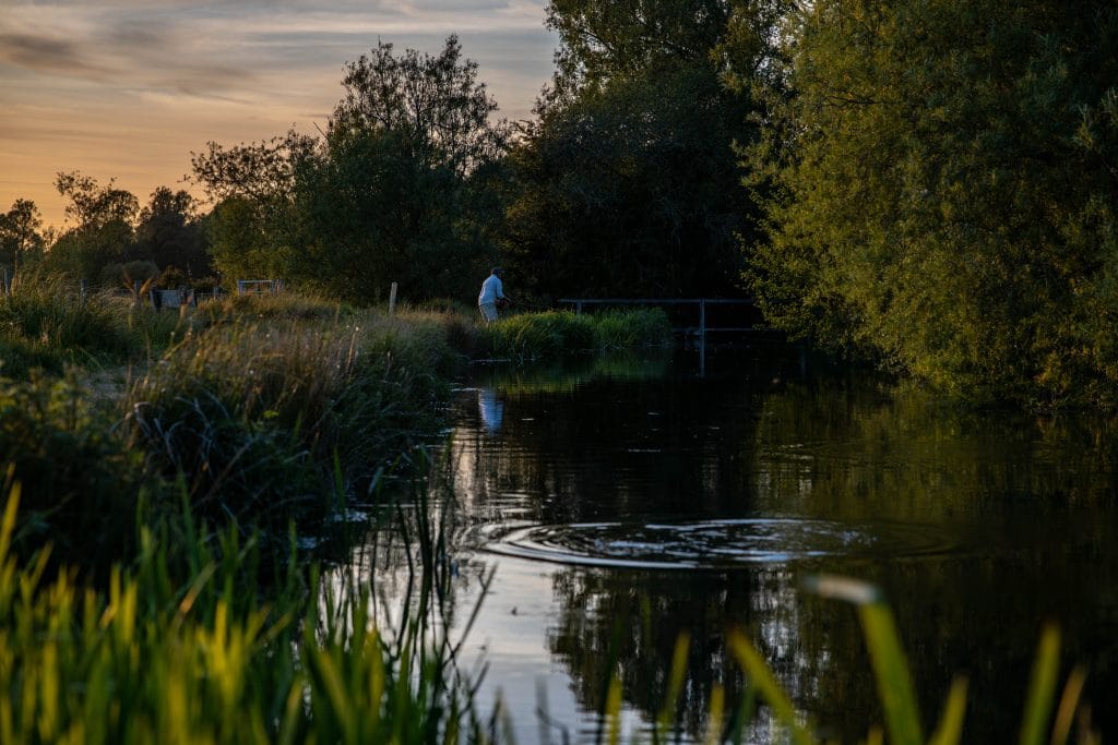 Westfair, River Anton, chalkstream fly fishing, grayling fishing, trout fishing, Aardvark McLeod