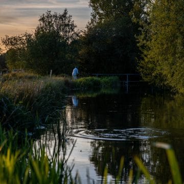 Westfair, River Anton, chalkstream fly fishing, grayling fishing, trout fishing, Aardvark McLeod