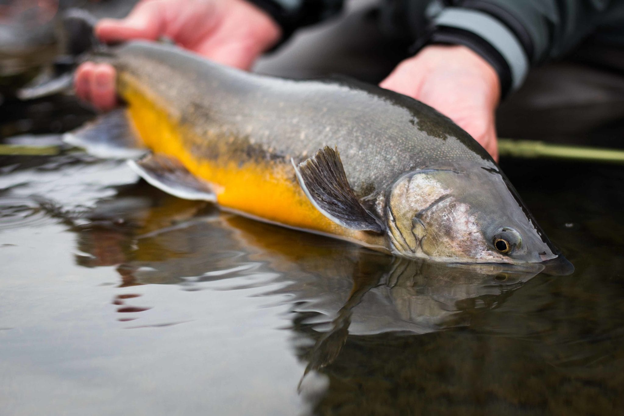 Tungnaa Iceland, char fishing Iceland, trout fishing Iceland, Fish Partner Iceland, Iceland