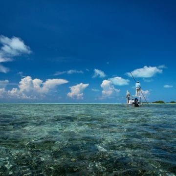 La Tortuga, Jardines de La Reina, cuba, Aardvark McLeod