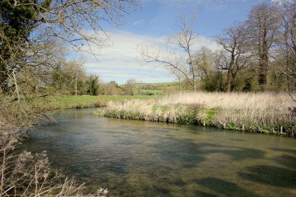 River Avon, Chalkstream, Aardvark McLeod