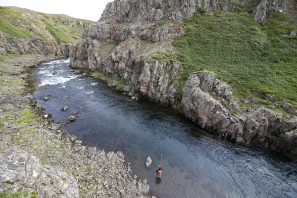 Hafralonsa, Iceland, Aardvark McLeod