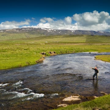 Salmon fishing, Laxa I Asum, Iceland