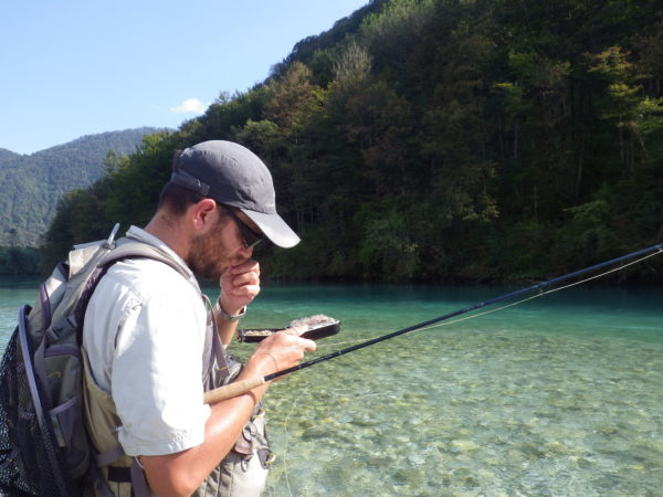 Slovenia, trout, grayling
