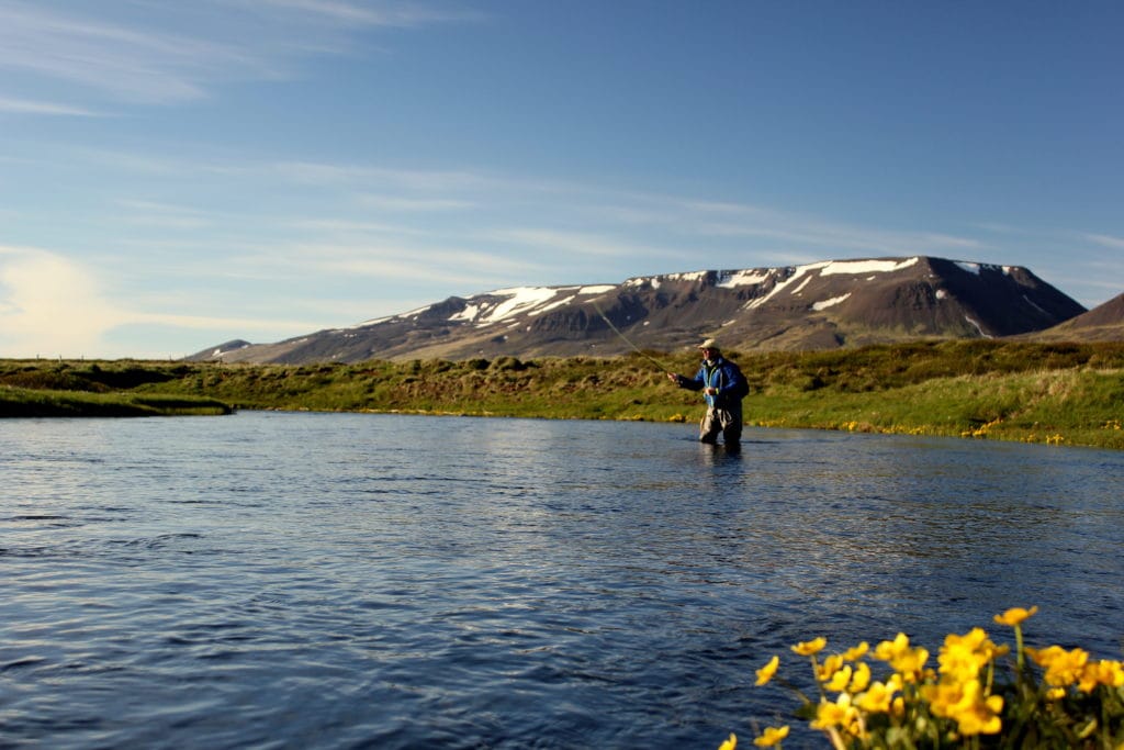 Iceland Trout Fly Fishing, Dry Fly Fishing Iceland