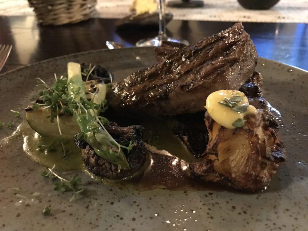 Laxa I Kjos, Salmon fishing, Iceland, Aardvark McLeod