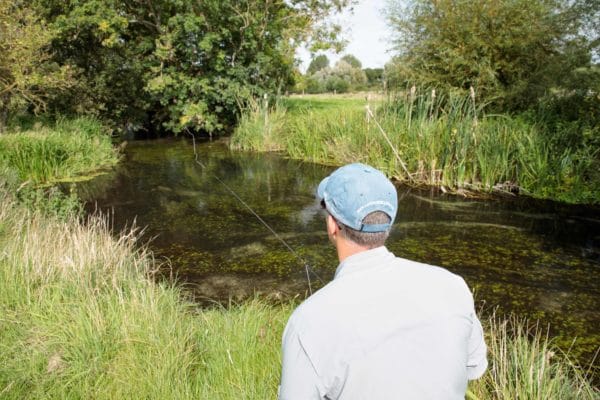 Westfair, River Anton, Aardvark McLeod