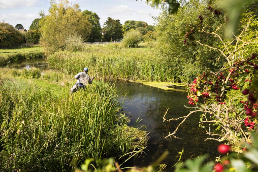 Grayling chalkstream fly fishing, Westfair Beat, Mayfly, chalkstream, river test, river anton, river avon,