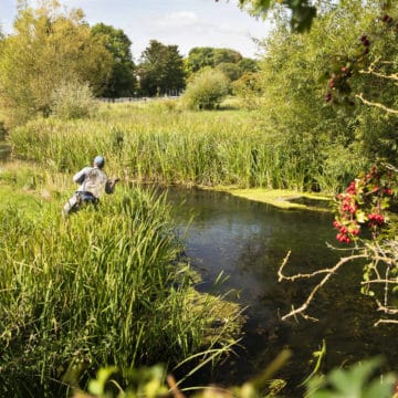 Grayling chalkstream fly fishing, Westfair Beat, Mayfly, chalkstream, river test, river anton, river avon,