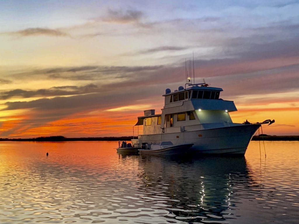 Outpost Mothership, Louisiana Redfish, Aardvark McLeod