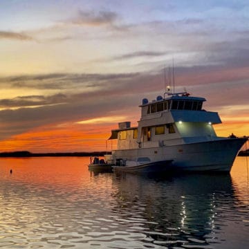 Outpost Mothership, Louisiana Redfish, Aardvark McLeod