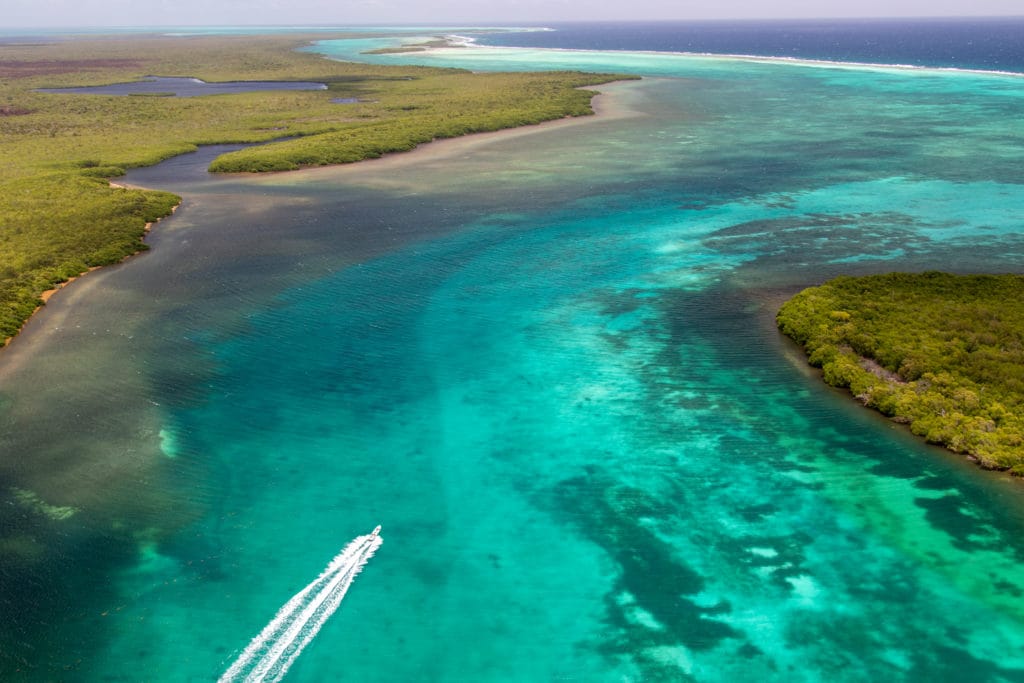 Turneffe Flats Lodge, Belize, Aardvark McLeod