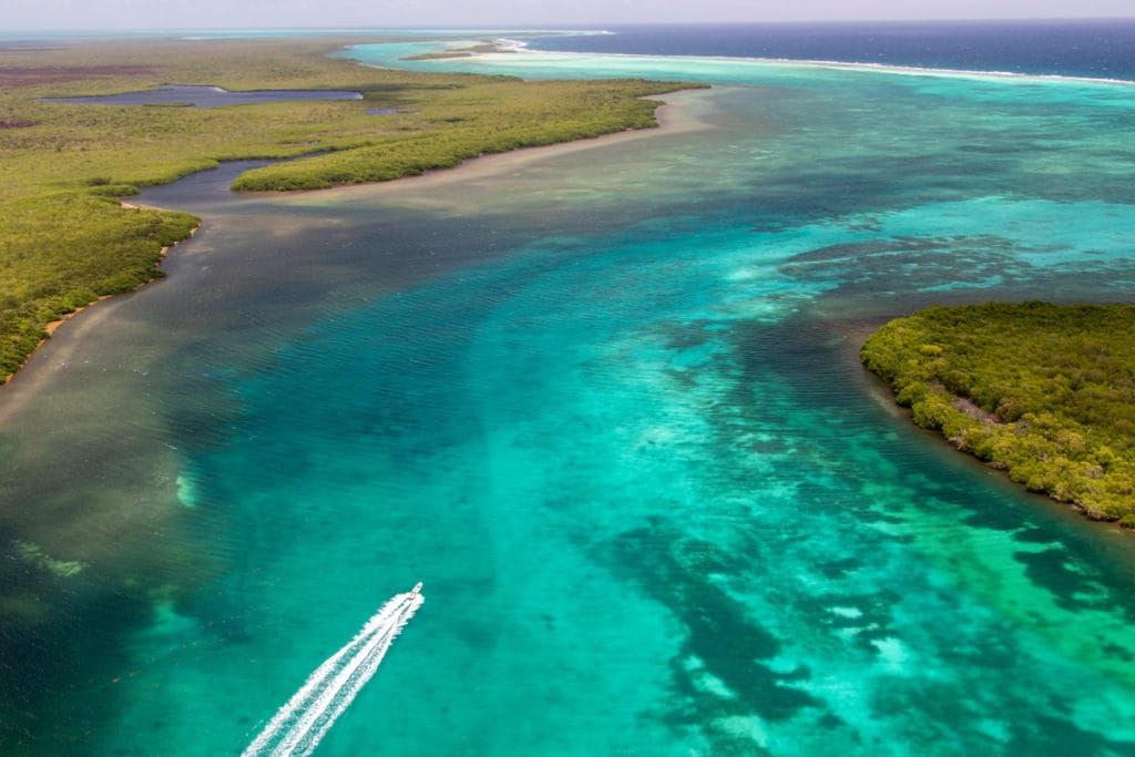 Turneffe Flats Lodge, Belize, Aardvark McLeod