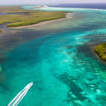 Turneffe Flats Lodge, Belize, Aardvark McLeod