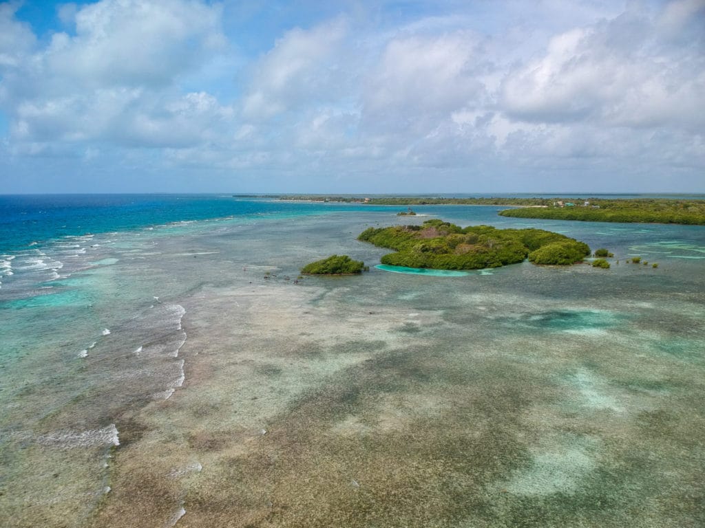 Turneffe Flats Lodge, Turneffe Atoll, Belize, Aardvark McLeod