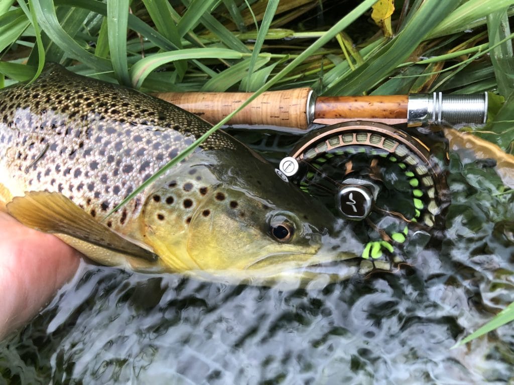 River Itchen Chalkstream fly fishing, Dry Fly Fishing, Alex Jardine, Aardvark McLeod Dry Fly Fishing