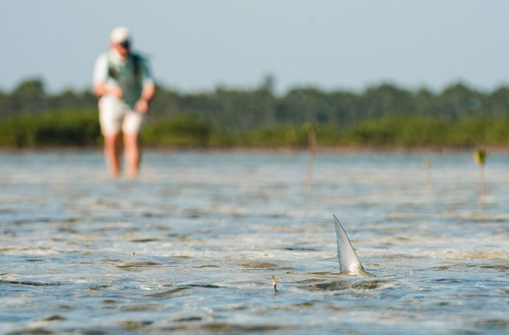 Delphi Club The Bahamas, Abaco Island The Bahamas, bonefishing The Bahamas, Aardvark McLeod The Bahamas