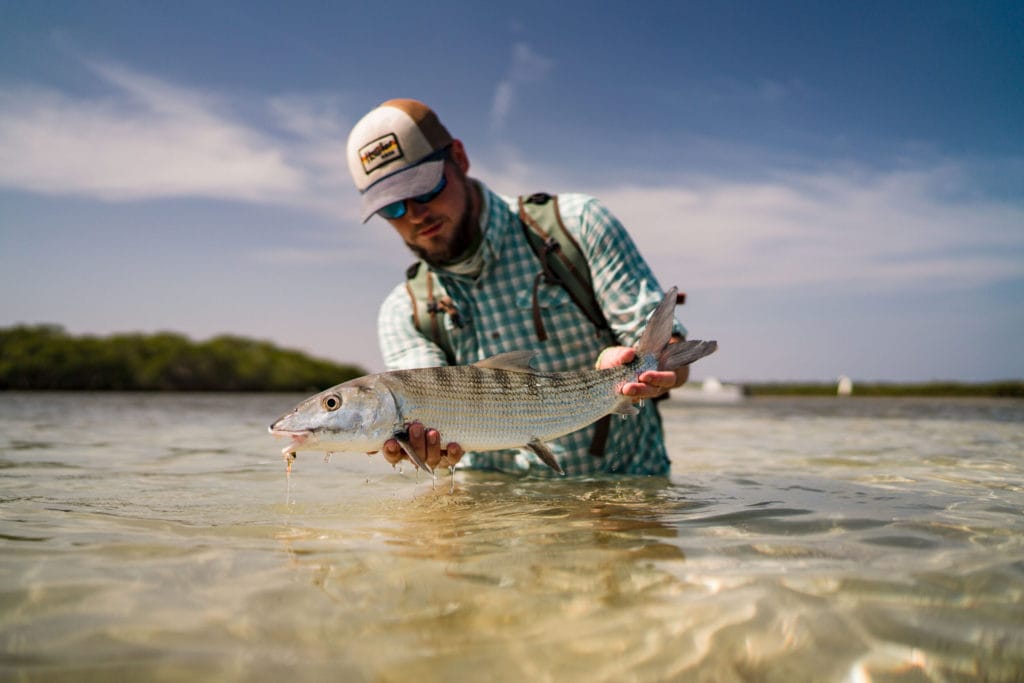 Delphi Club The Bahamas, Abaco Island The Bahamas, bonefishing The Bahamas, Aardvark McLeod The Bahamas